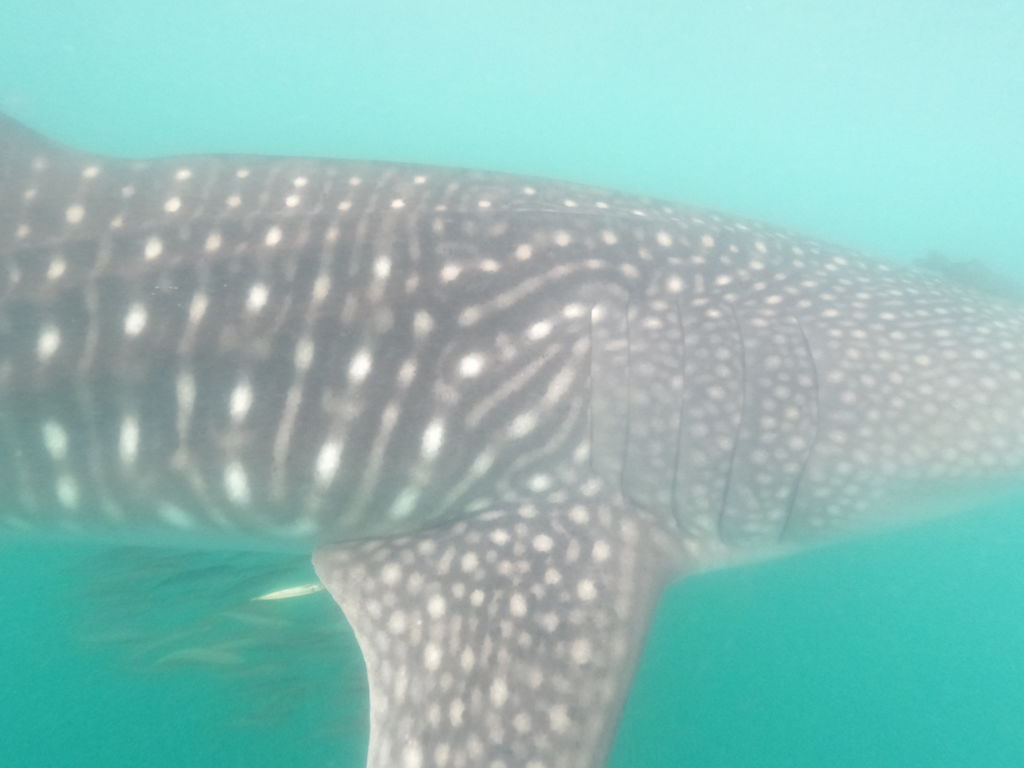 c912b22a-c190-4dd2-839c-81a1f7d47db6