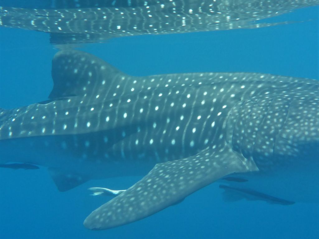 9d224b3b-731c-4d2d-ac40-473ec9e166e7