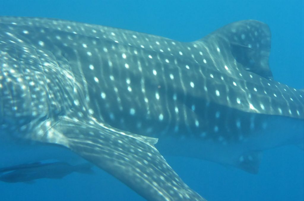 9d224b3b-731c-4d2d-ac40-473ec9e166e7