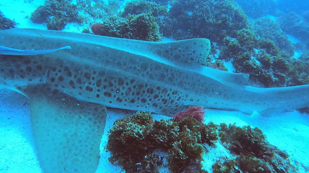 3c392ea8-9328-4a40-922e-5ee2bb19675c