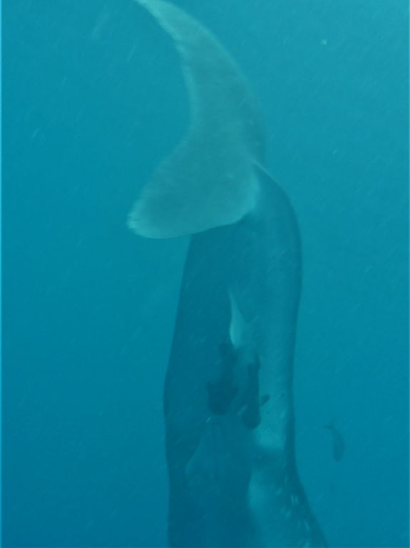 f7773740-7324-4403-aba1-f43eb6683863