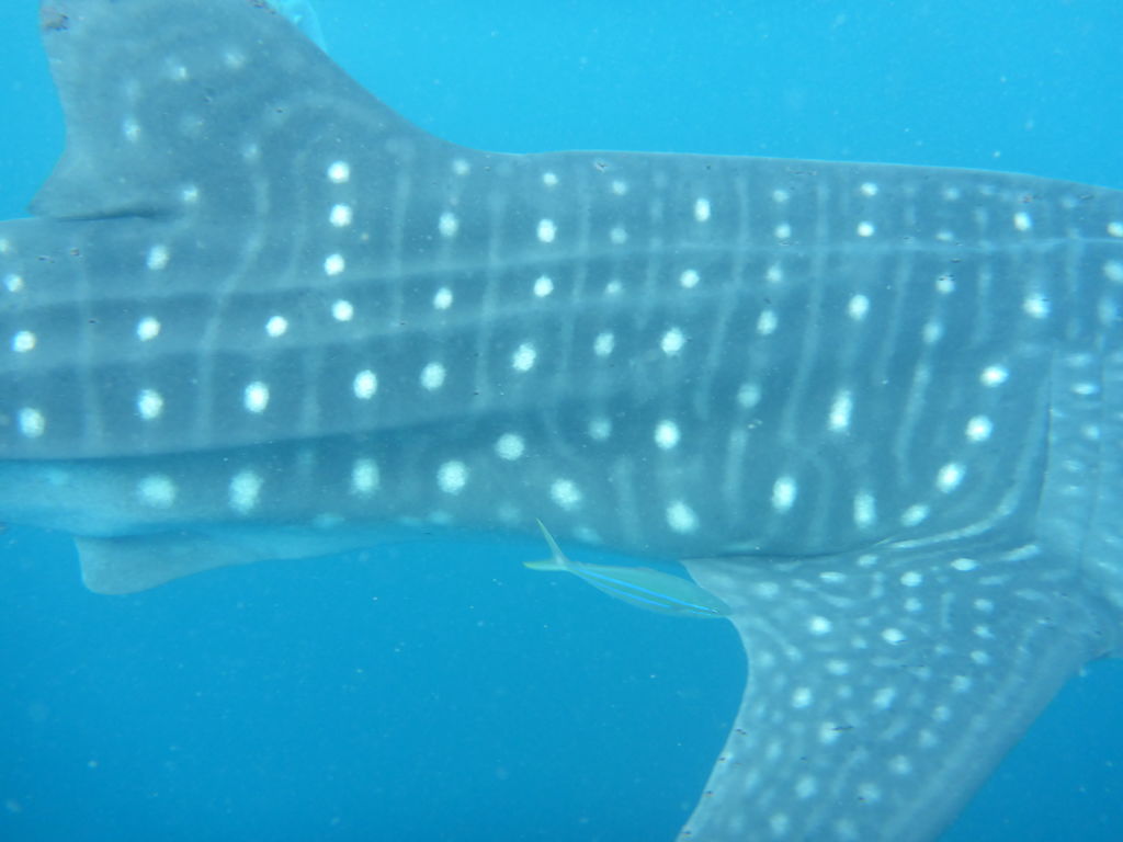 f7773740-7324-4403-aba1-f43eb6683863