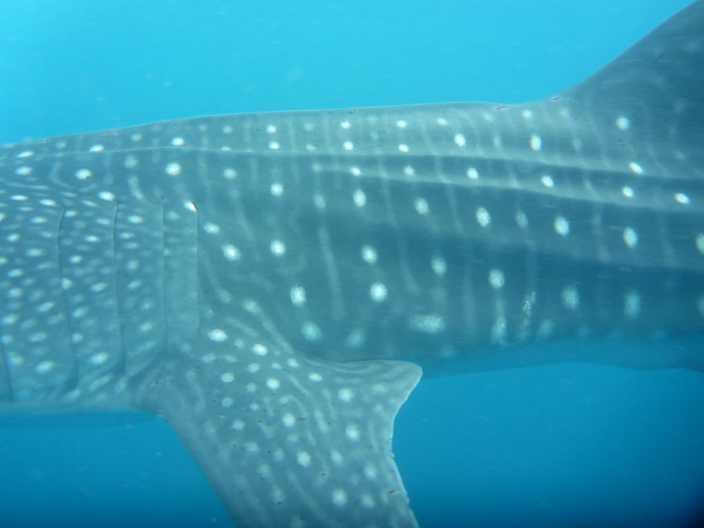 f7773740-7324-4403-aba1-f43eb6683863