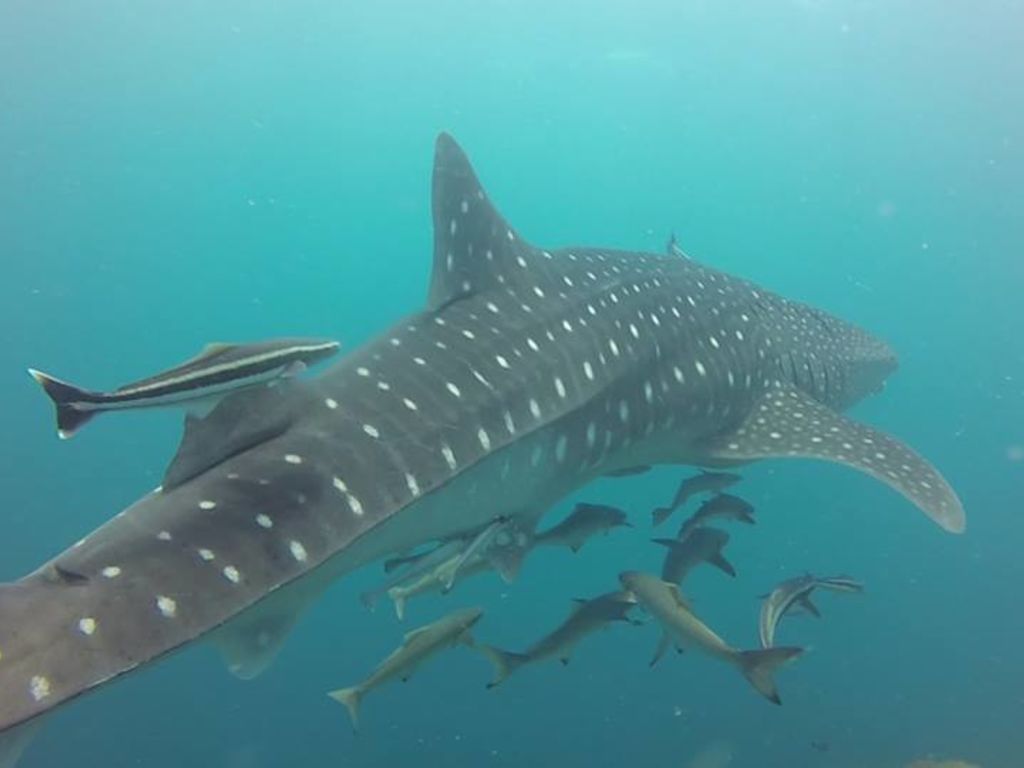 40fc2be0-cd54-486b-9e54-c57e133a1b72