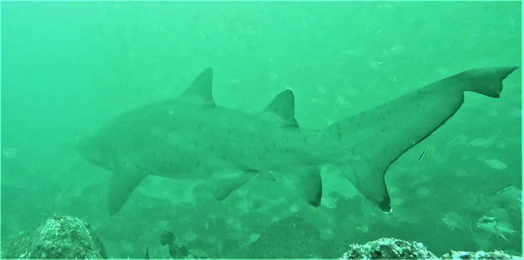 c478a4f1-a8e0-4c3f-b094-28371ab8b366