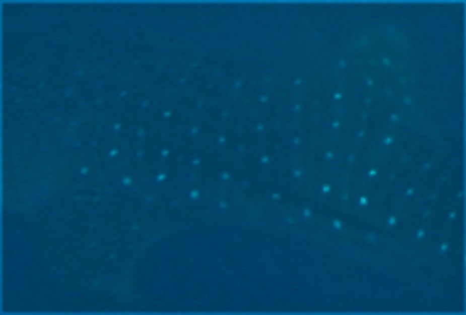 8f03936b-46ea-49a4-ba57-e304677564bc