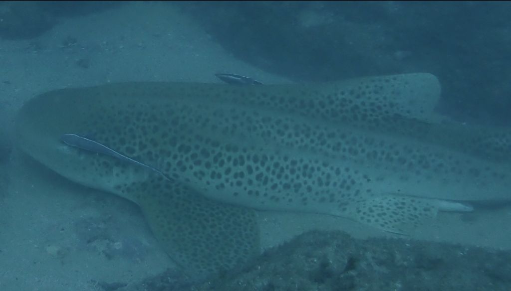 473af4d9-ee36-4db9-99f7-344631441f1c