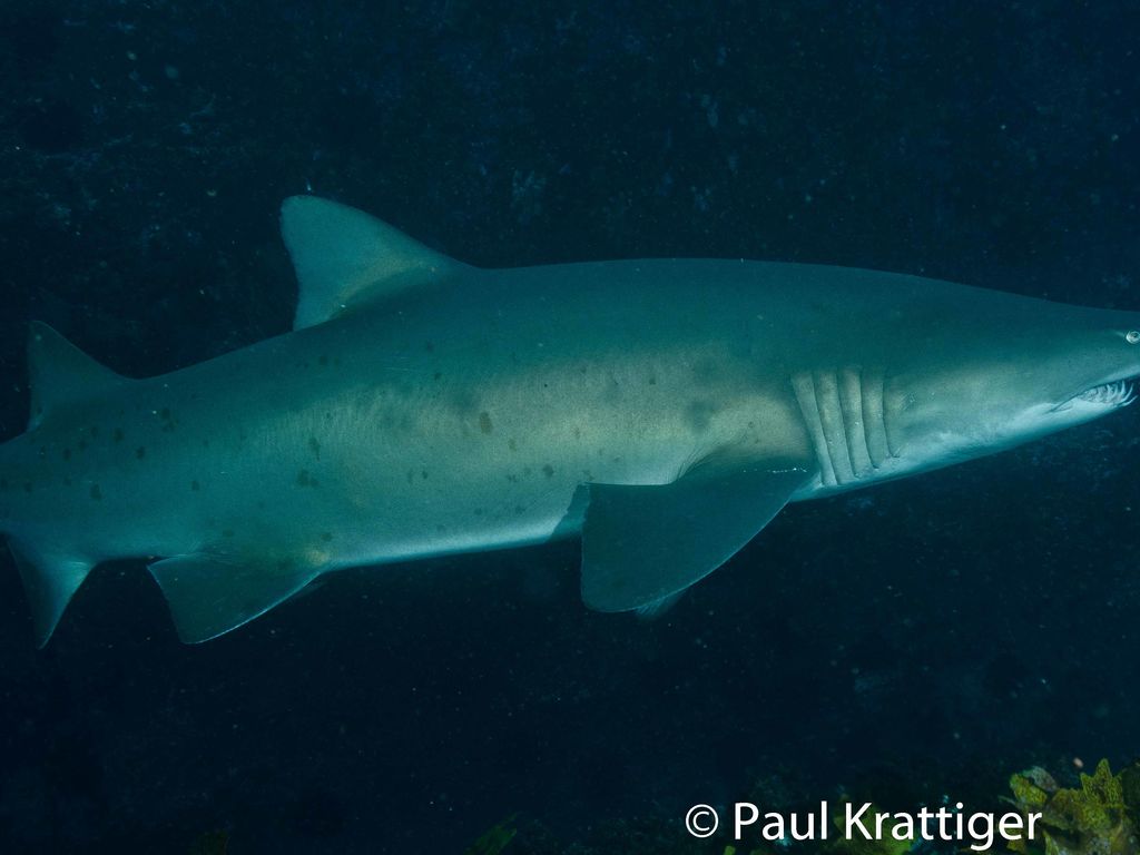 1a8a636c-eb7e-4684-bae2-bc4e93c7f9d9