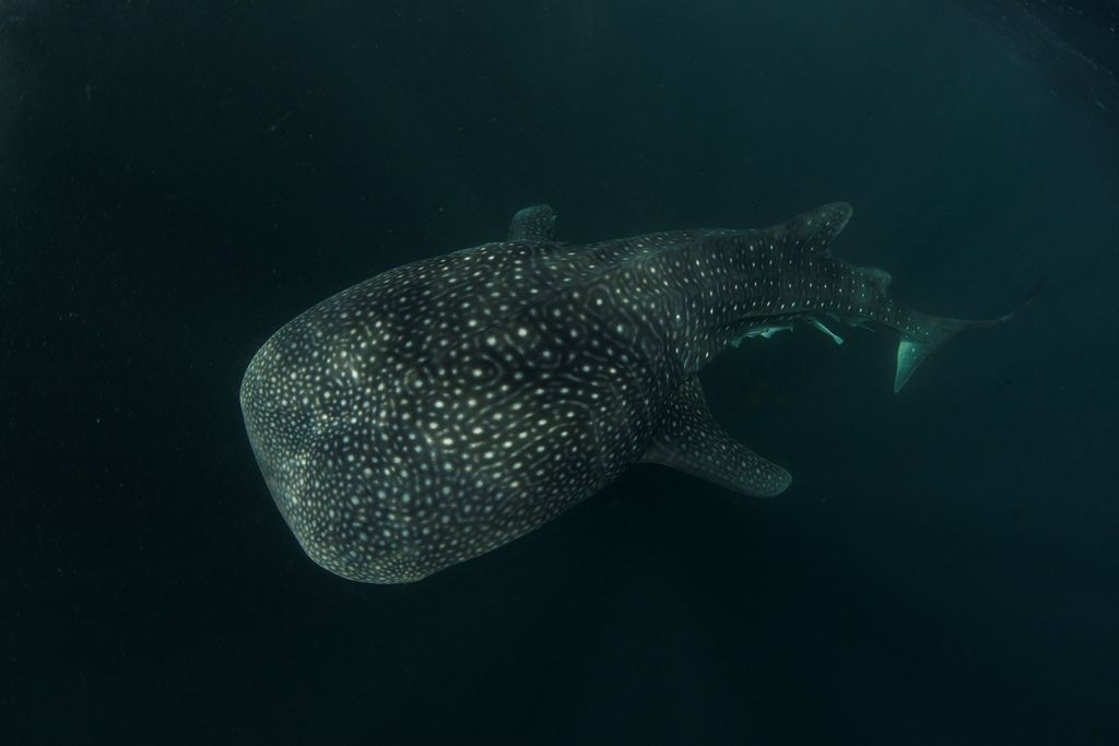 0b62a553-1bde-4de7-8a2b-9b0b5cb86950