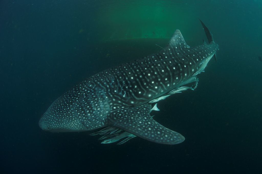 0b62a553-1bde-4de7-8a2b-9b0b5cb86950