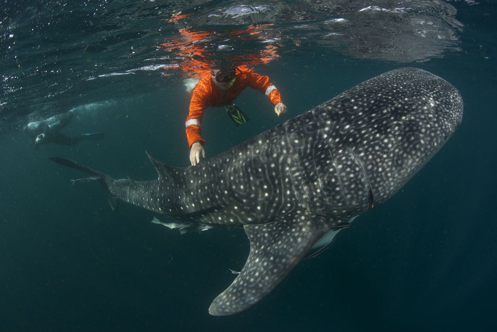 0b62a553-1bde-4de7-8a2b-9b0b5cb86950