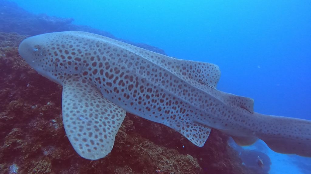 e83d8927-5f38-4244-9db9-b236159b10fa