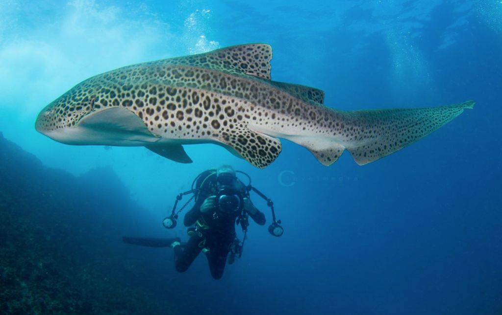 3ece43f8-70df-4fbc-a889-56bbe78cbbf7