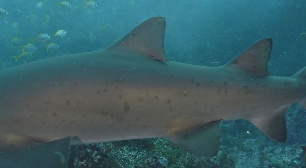 396632a8-7df4-4b5b-b1f6-37824ee043cf