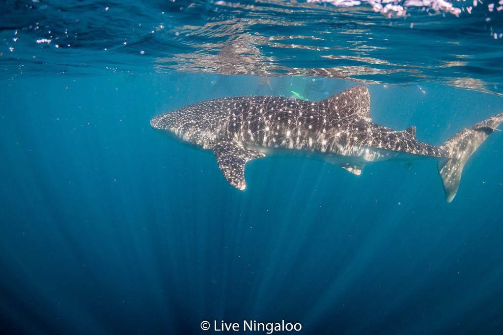 a59f8bfa-f8fc-47bb-889d-736fe2686fb1