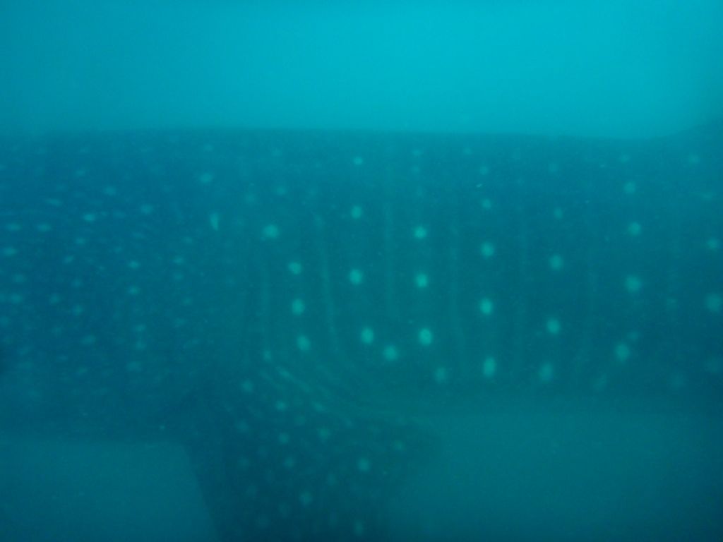 1b3352d5-4777-4cce-9567-e9eec8604c24