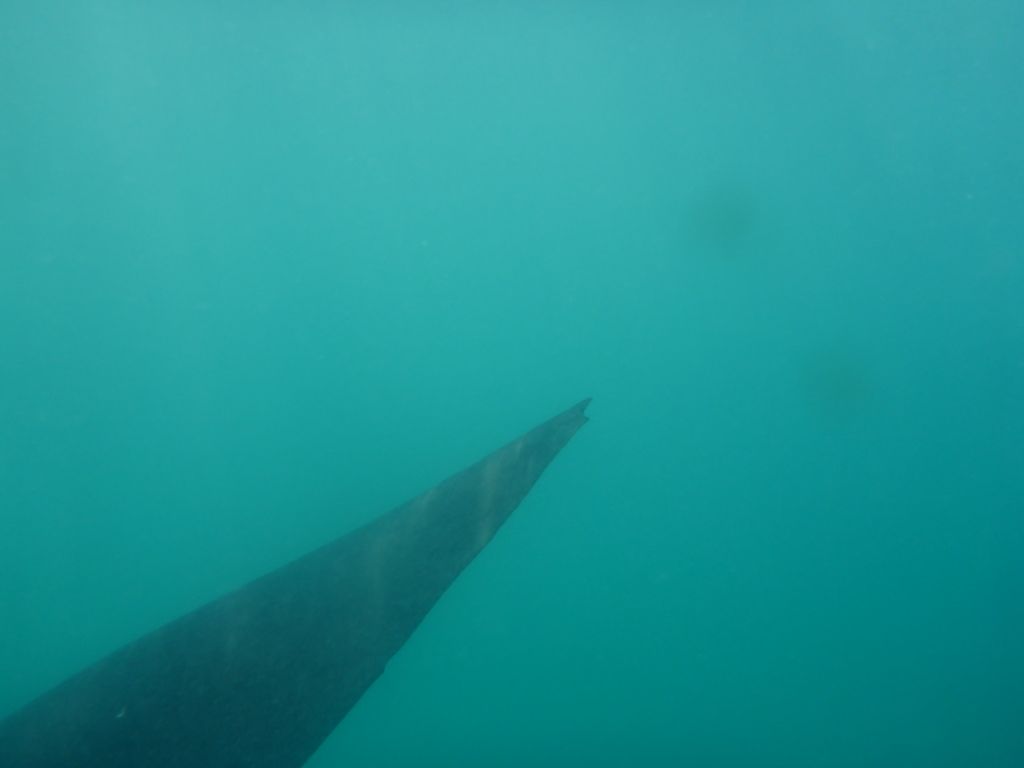 1b3352d5-4777-4cce-9567-e9eec8604c24