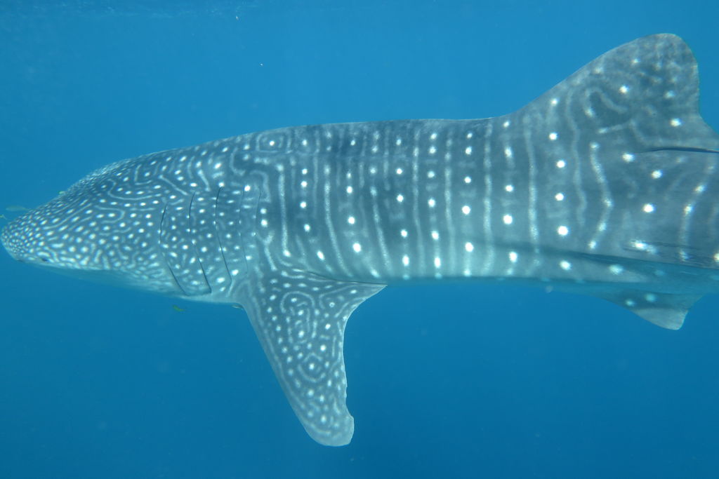 37a566d6-9a48-48fd-9c14-3b2f9ceb2a8e