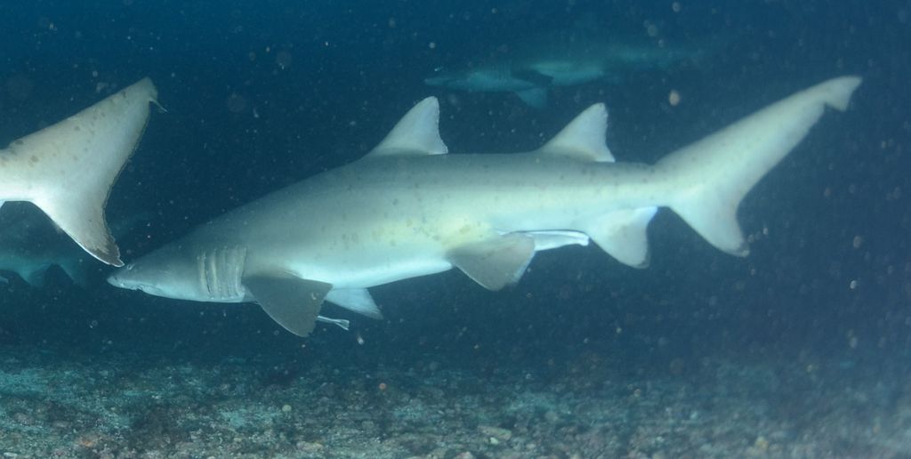 15290b99-f307-4915-bbe6-f51edf26df91