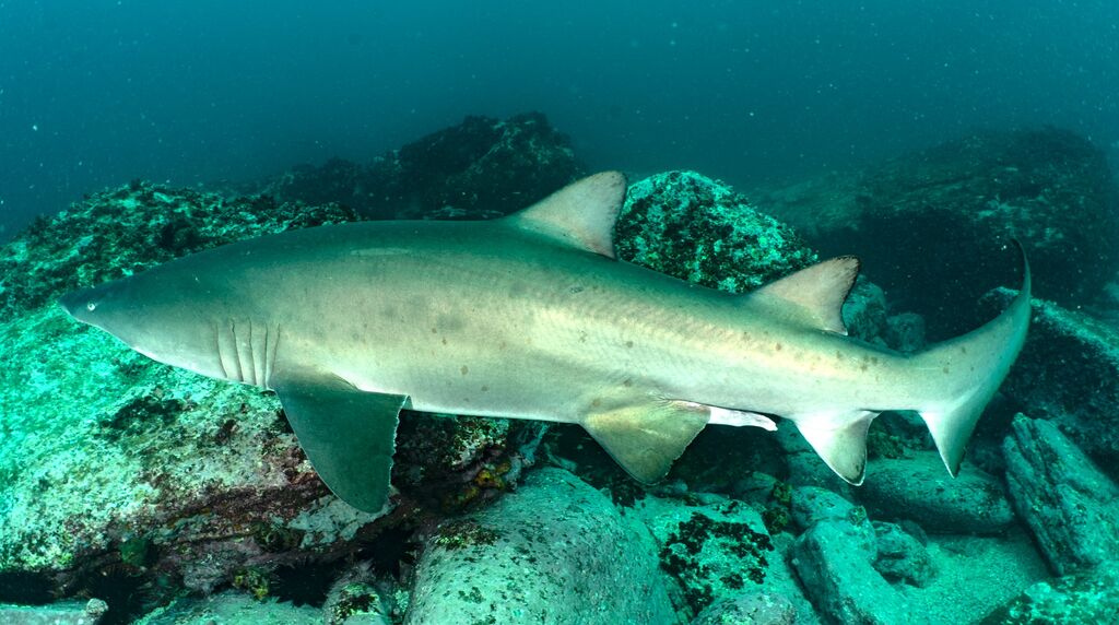 907b7e5b-48ac-40d6-baa3-99545f7a6921