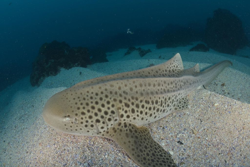 b1f41b2c-9a9d-46dd-88b8-8446ed283d80