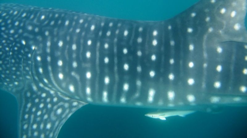 d9d50a16-9bad-4623-a754-97ca7a5c7957