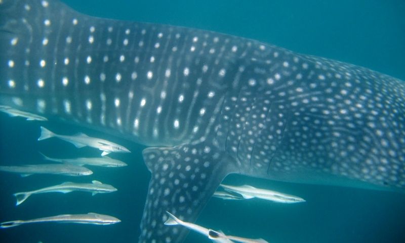 d9d50a16-9bad-4623-a754-97ca7a5c7957