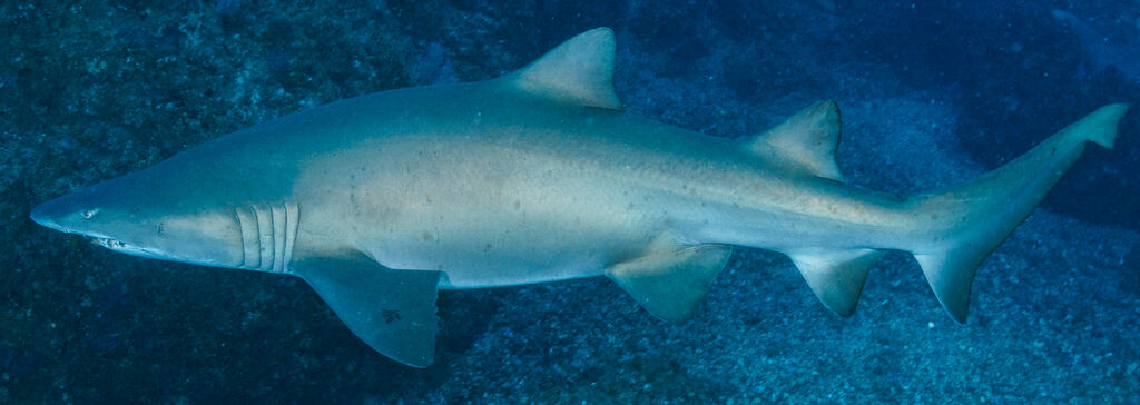 5df63dd8-f924-4ead-9b25-0cb2eca5f66e