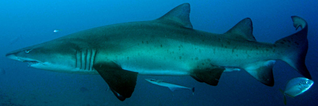 2f4bdc93-13ef-4bec-b27a-8b4236c42970