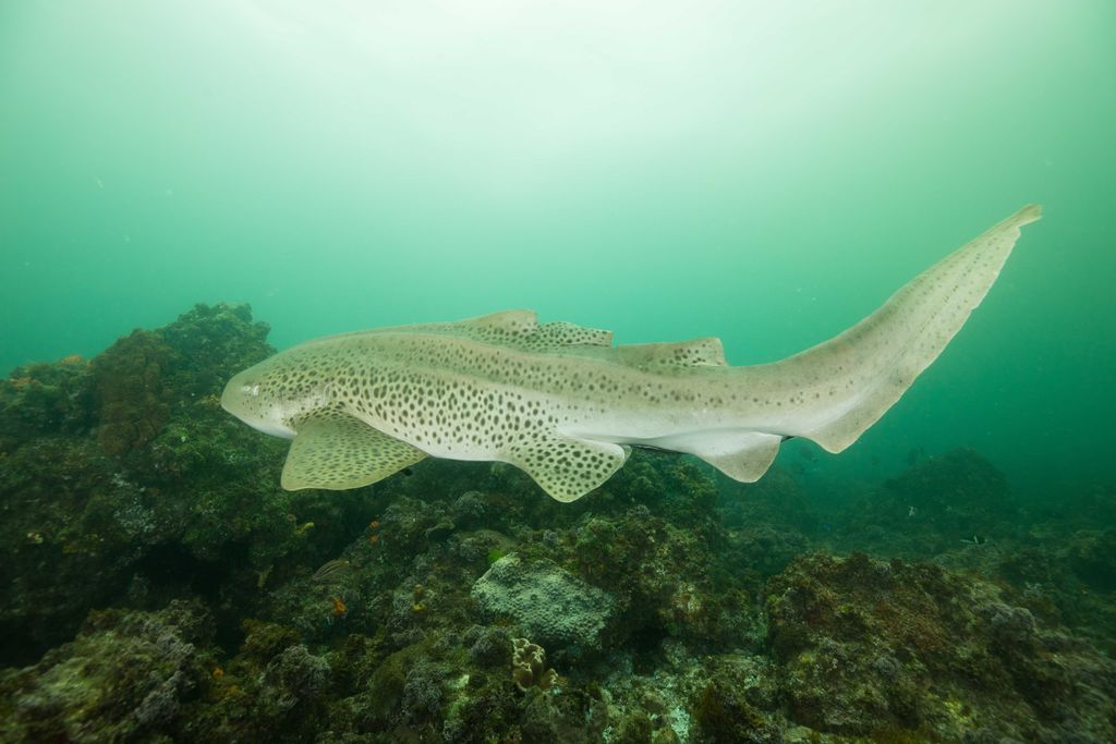 d8da3b5f-bd73-411c-9829-c55d7b7d84c4