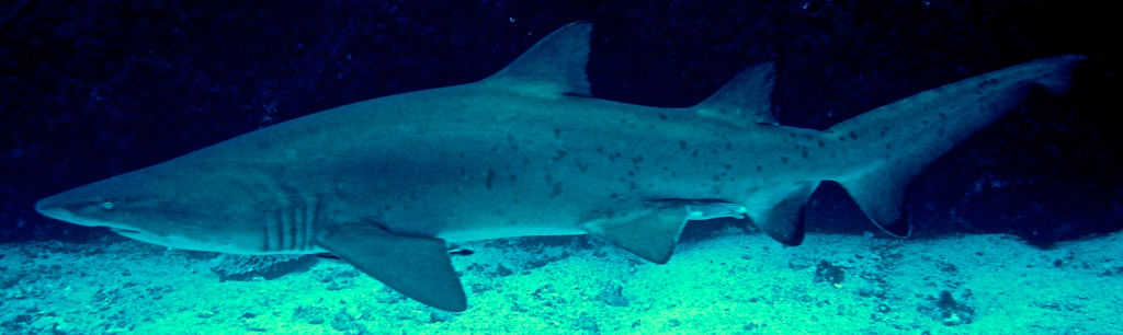 73c9b3f9-9a5e-433a-bf08-924417fb440b