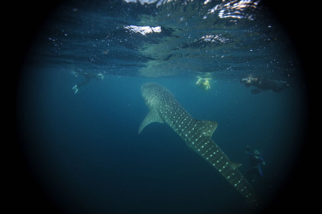 bd7c227b-46ce-4a89-99ce-6223251ea7e8