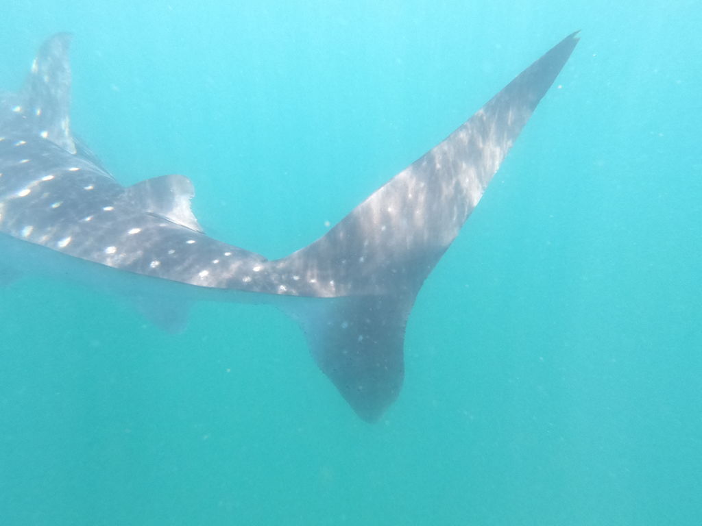 0914f09f-a373-4ea6-b4ad-1bf8f86362b0