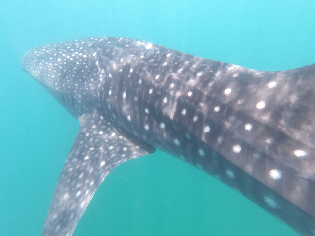 0914f09f-a373-4ea6-b4ad-1bf8f86362b0