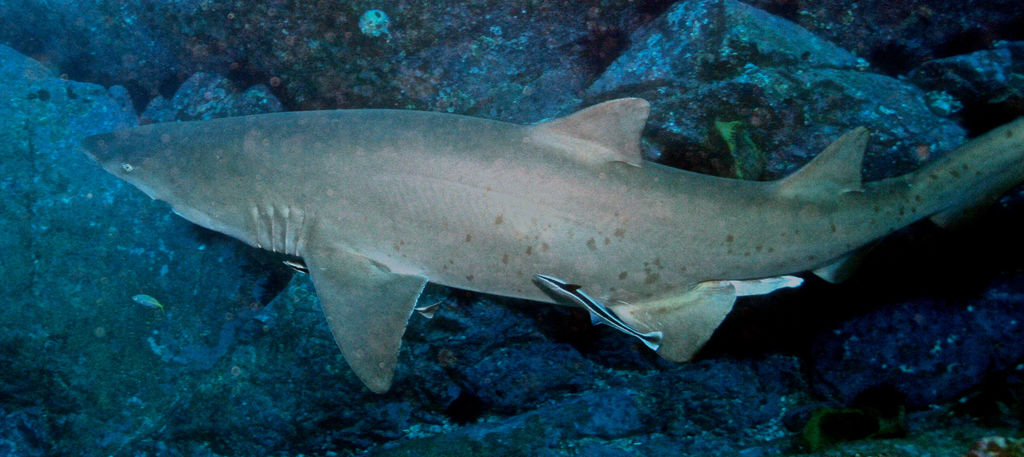 f13d2995-a8dc-4f3c-b090-3d370710d046