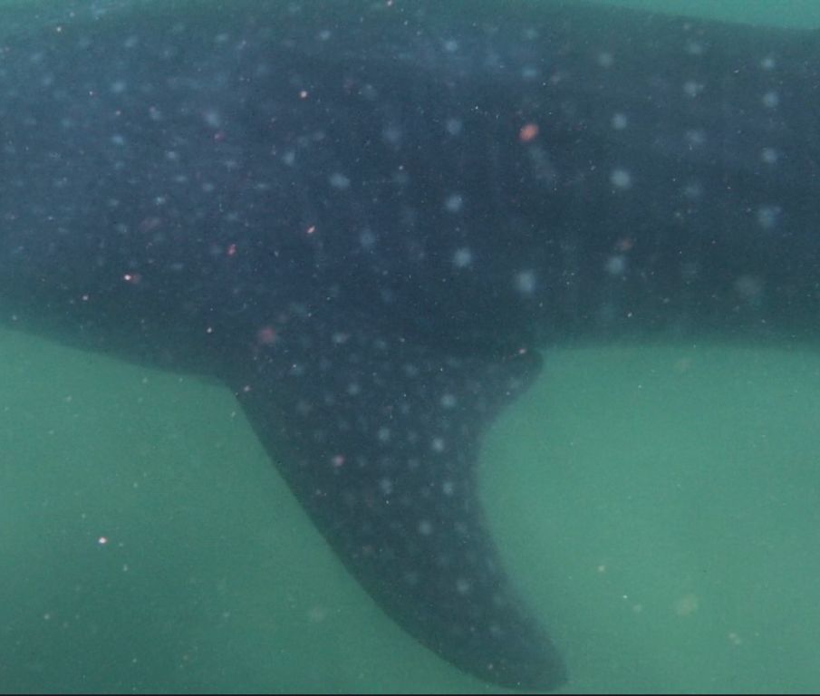 6c790332-b24b-4741-9961-5583600e0e94