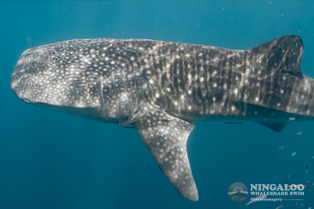 02f1f6a9-c8fa-4aa6-a064-23c18fc1cc40