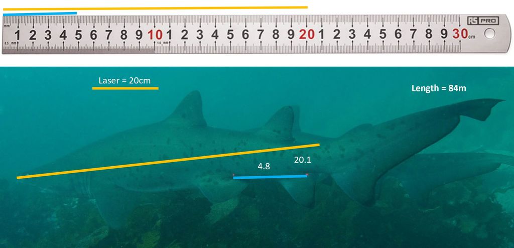 8c93a73f-d66d-4800-aa9b-68e86d1e39b3