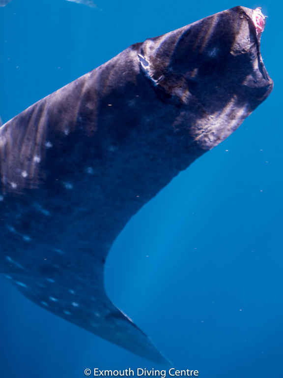 857cbe67-9405-414a-97c9-3a1d5971a3a1