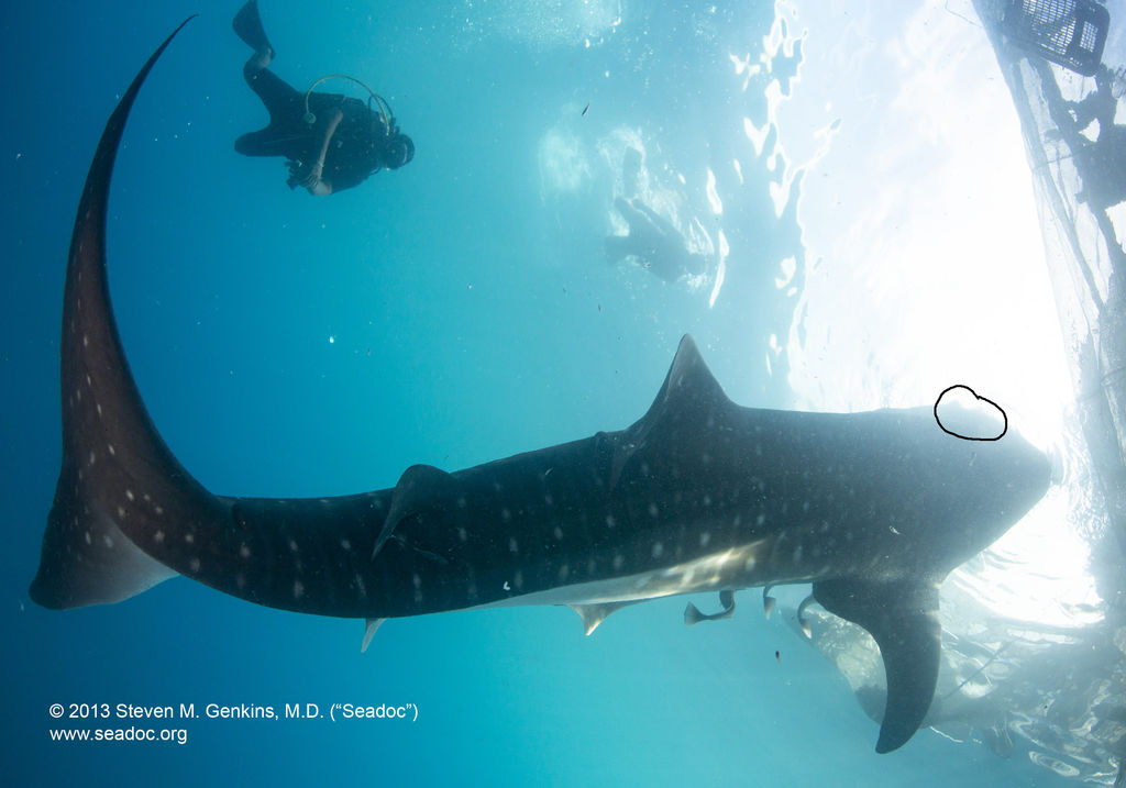 9011a1da-9e7e-43b9-a3ea-724cbcefb459