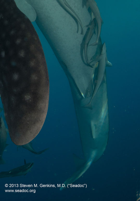 9011a1da-9e7e-43b9-a3ea-724cbcefb459