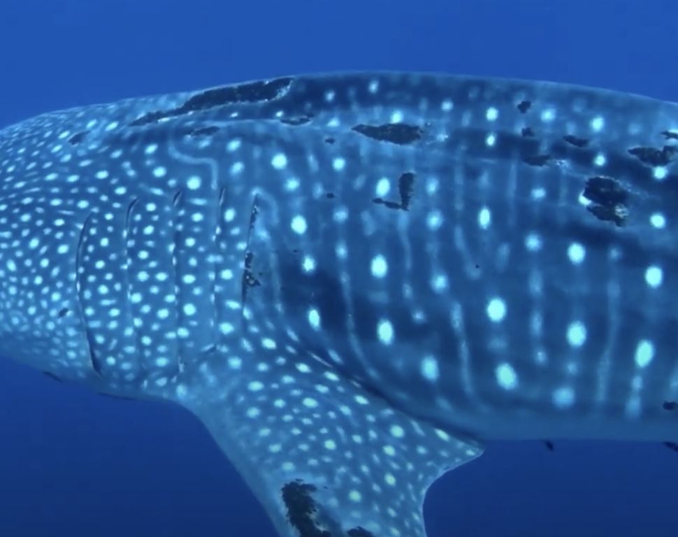 f2c58f2b-d32a-4e8f-8315-29d4e6dee77d