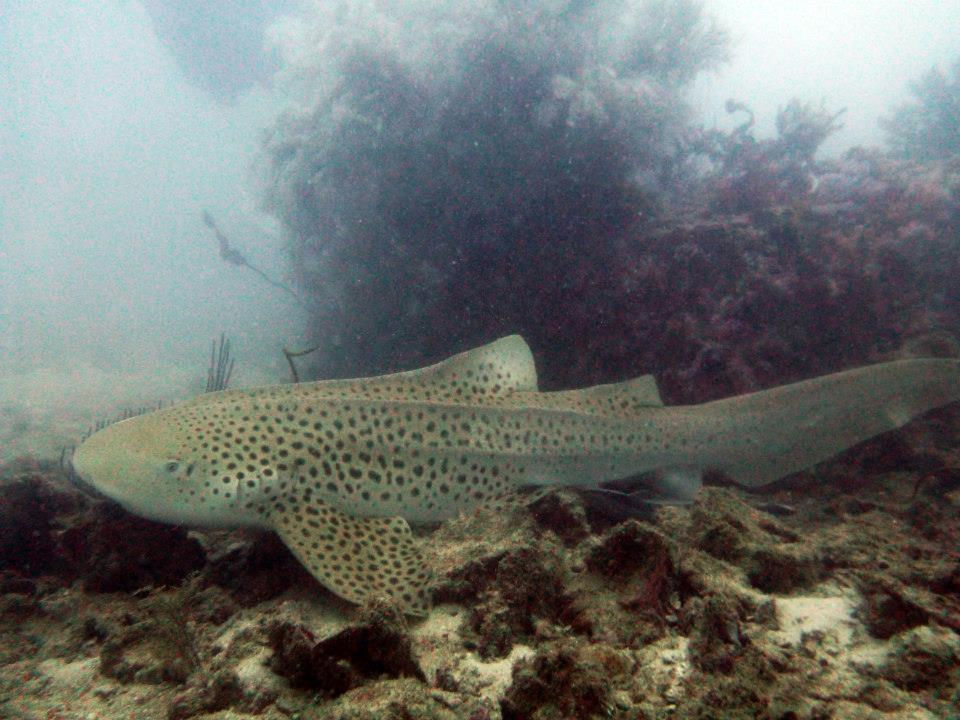 650a4769-9894-4ce0-8bad-ed3f5d2498db