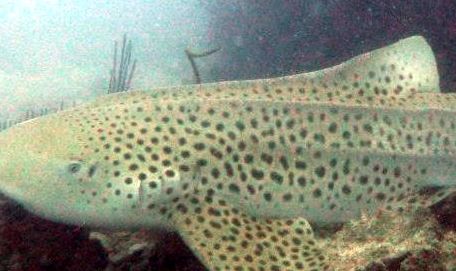 650a4769-9894-4ce0-8bad-ed3f5d2498db