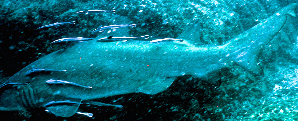 135643da-f96a-4904-a41f-b9b25e3c6b06