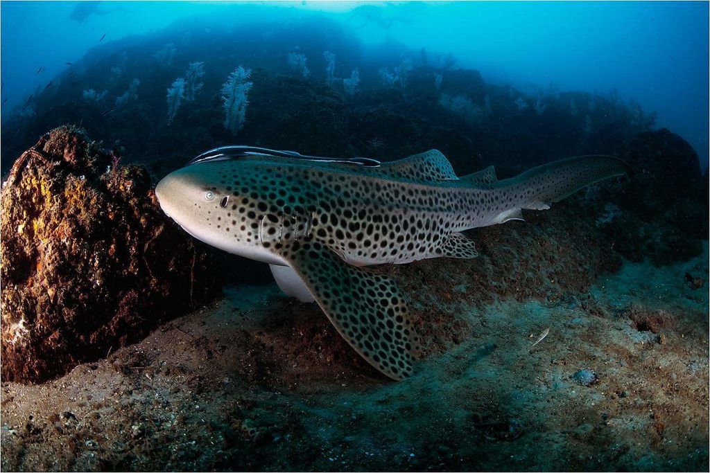 8918bfb3-b20b-4060-ab9b-0fee4c17171d