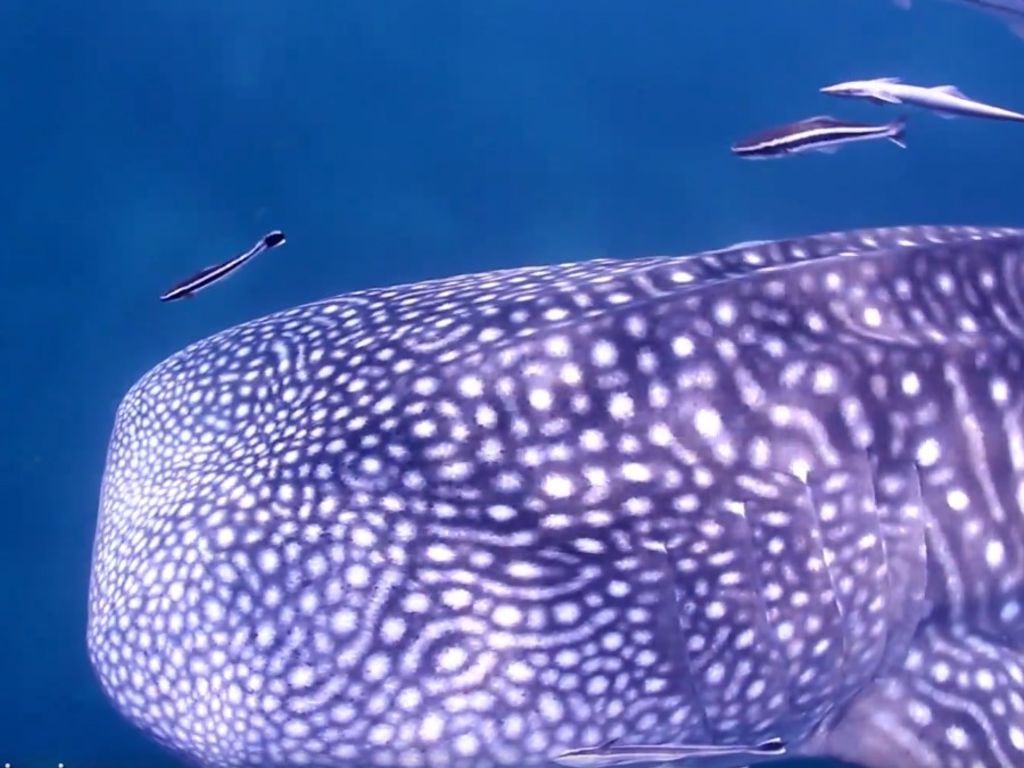 61013948-359f-4606-8d99-c63e9994f872