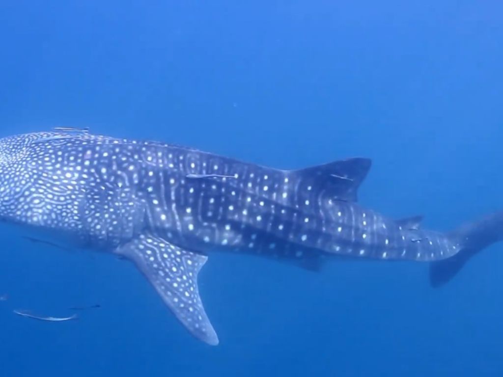 61013948-359f-4606-8d99-c63e9994f872