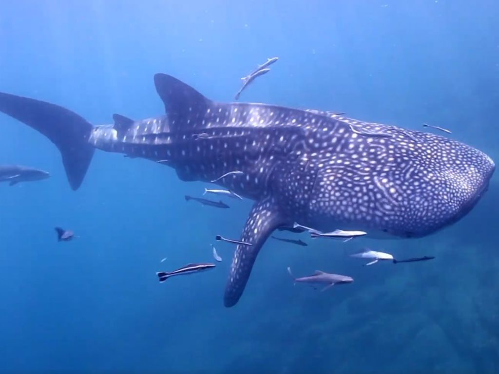 61013948-359f-4606-8d99-c63e9994f872