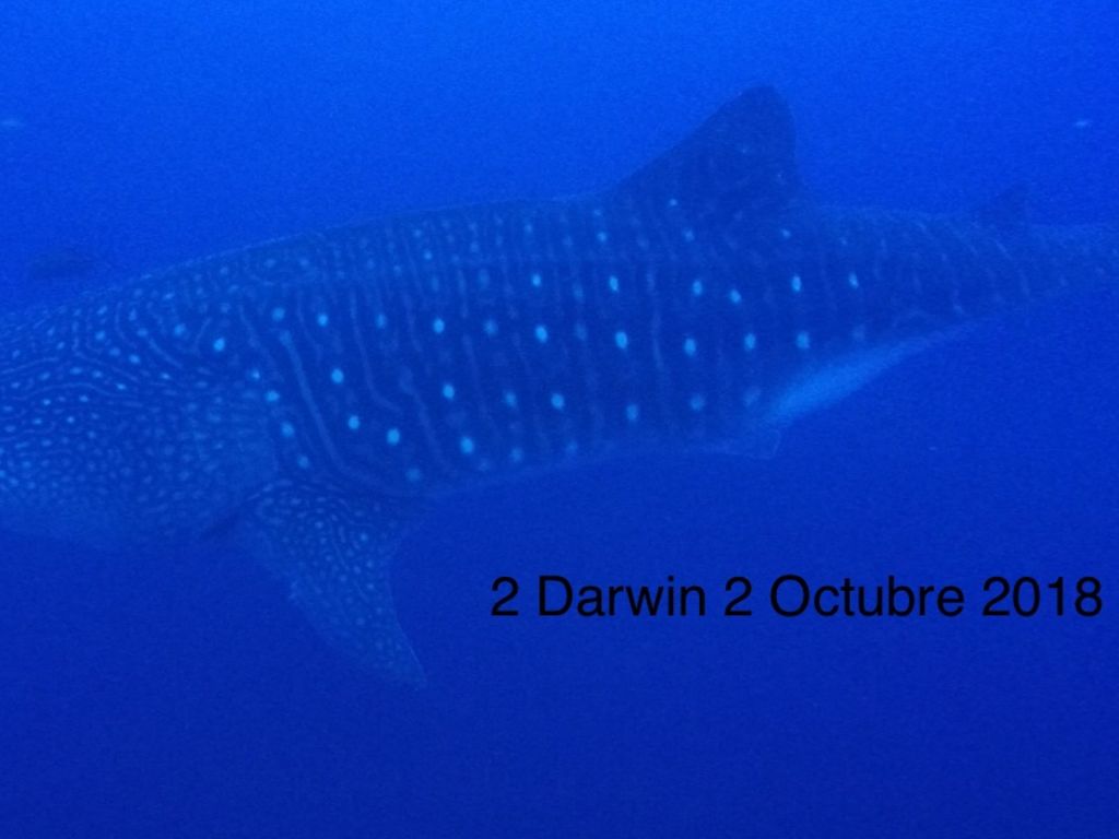 e4f8c179-802e-4506-9a9c-de5c567b9b90